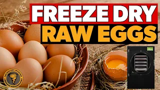 Freeze Drying RAW Eggs & Taste Test | Harvest Right