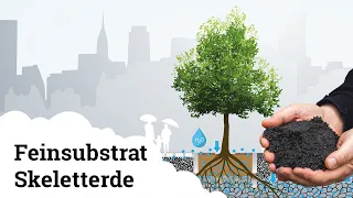 Stadtbaumpflanzung der Zukunft | Schwammstadt, Stockholmer Baumpflanzsystem 🌱