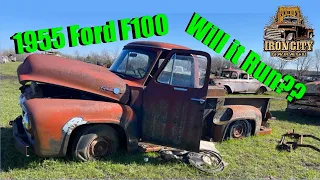 Will it run?? 1955 Ford F100 hasn’t ran in 50 years let’s find out why! Is that a Buick Nail Head?