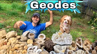You can go here! Geode Hunting | Public Crystal Mine