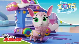 🦙 Lamă cu probleme | T.O.T.S. | Disney Junior România