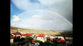 השיר תקוע מאת ברוס בריל: תרגום מאנגלית לעברית אריאלה צים ועמית בירן