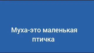 Огненная гитара-муха-это маленькая птичка|Поп-рок, электронная музыка (кавер на Король и шут)