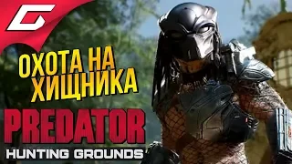 PREDATOR: Hunting Grounds ➤ ВЫСЛЕЖИВАЕМ ХИЩНИКА