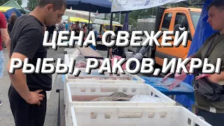 ЦЕНА свежей РЫБЫ, РАКОВ, ИКРЫ. МЕД из каштанов, которые цветут на Крещатике. Колбаса с вишней.