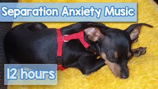 12 Hours of DEEP SEPARATION ANXIETY MUSIC For Dogs! Helped 10 Million Dogs! NEW!