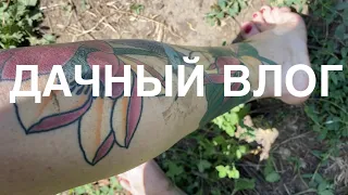 🌻Дачный влог! Vlog!