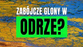 Odra - zatrucie czy zbieg okoliczności?