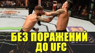 НЕПОБЕЖДЕННЫЕ БОЙЦЫ ДО UFC