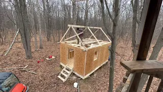 Off Grid Cabin in the Woods - Part 3 - Rafters! It’s starting to look like a cabin!