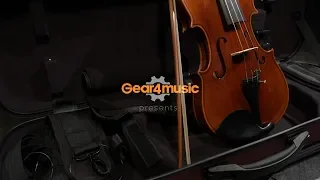 Stentor Arcadia Violin Outfit With Pirastro Evah Pirazzi String Setup | Gear4music