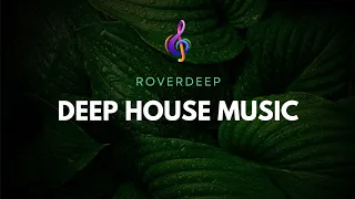 3.Deep House Primetym Mix • RoverDeep • House Music
