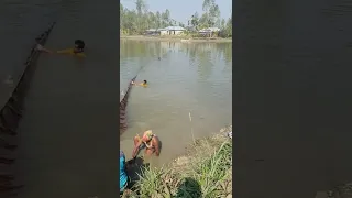 Unique Cast Net Fishing Technique#shorts