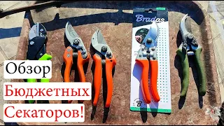 ПЛЮСЫ И МИНУСЫ Бюджетных Секаторов! Обзор