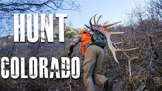 How To Hunt Colorado (For Elk, Deer and Antelope)