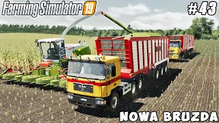 Harvesting corn silage and grain on a new field | Nowa Bruzda | Farming simulator 19 | Timelapse #43