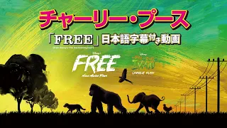 チャーリー・プース「Free (From "The One and Only Ivan”)」【日本語字幕付き動画】【公式】