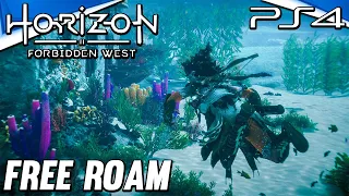 Horizon Forbidden West PS4 Underwater and Flying Gameplay Free Roam