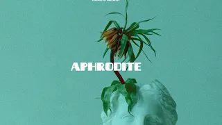 "APHRODITE" Tems x Wizkid x Burna Boy - Type Afrobeat