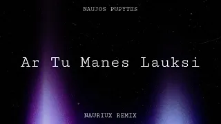 Naujos Pupytes - Ar tu manes lauksi ( NAURIUX REMIX )