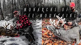 MONARCHS OF THE MOUNTAINS: TWO ADIRONDACK TEN POINTERS DOWN!!!