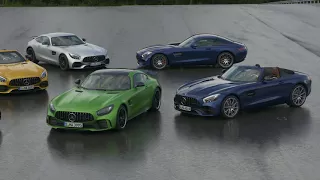 2018 Mercedes-AMG GT Lineup at Blister Berg