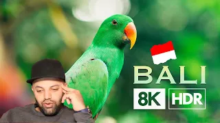 Bali 8K HDR Reaction | Indonesia Reaction | MR Halal Reacts | Bali Indonesia