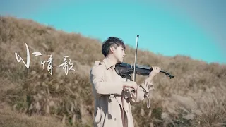 蘇打綠《小情歌》小提琴版本 | Violin【Cover by AnViolin】