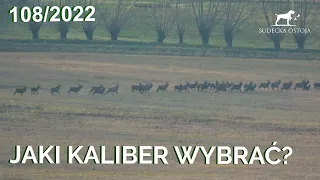 SUDECKA OSTOJA 108/2022 Jaki kaliber wybrać? Deer deerhunting hunt wildboar boar jagd chasse