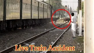 Live Train Accident! Train Hit Buffalo Crossing Railway Line At Kot Lakhpat Railway station