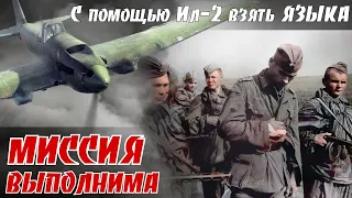 Уникальный случай в авиации. Ил-2 Николая Чувина помог ЯЗЫКА взять. По восп. Александрова С. С. 3ч