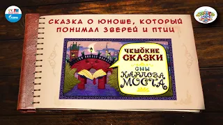 Сказка о юноше, который понимал зверей и птиц | 🇨🇿 Чехия |  (🎧 АУДИО) Выпуск 6 | Сказки Народов Мира