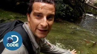 Bear Grylls in Borneo Jungle | Man vs Wild (5/6)