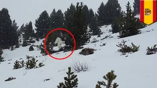 Yeti, bigfoot, sasquatch or abominable snowman spotted in Pyrenees Mountains of Spain - TomoNews