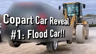 Copart Auction Win #1 Revealed!! Flood!!