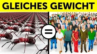 65 schnelle Fakten, die dich überall zur spannendsten Person machen