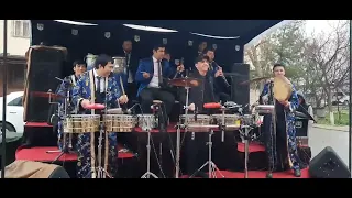 timbales & doyra solo