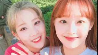 LOONA SHIPS (PART 2)