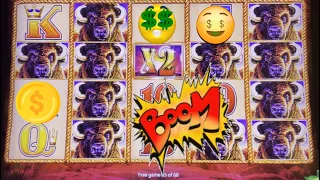 15 GOLD BUFFALO HEADS      🦬🦬Buffalo Gold🦬🦬       💰💰HUGE JACKPOT💰💰