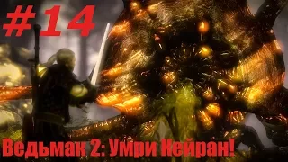 Ведьмак 2: Убийцы Королей. Видео прохождение игры. #14 - Умри Кейран!