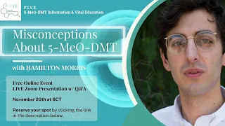 Hamilton Morris: Common Misconceptions of 5 MeO-DMT by FIVE: 5-MeO-DMT Information & Vital Education