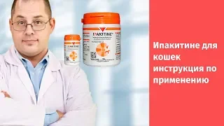 Ипакитине для кошек инструкция по применению👨‍⚕️