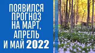 Погода в Украине весной 2022 - синоптики дали предварительный прогноз