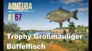 Russian Fishing 4 Achtuba #157 (Trophy Großmäuliger Büffelfisch)