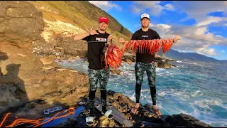 If its RED its DED! Most Fish we ever caught with the 3 Prong / Spearfishing Hawaii PART 1