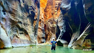 The Narrows River Hike & Angels Landing (Scariest Hike in America) - Zion National Park