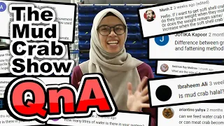 The MUD CRAB Show | Episode QnA |