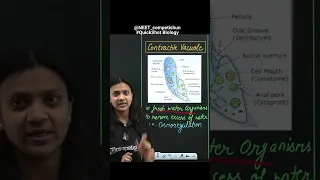 NEET Biology QuickShot Guide to Osmoregluation | Contractile Vacuole | #neet #shorts #competishun