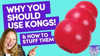 Why You Should Use KONG dog toys! (and how to stuff them!)