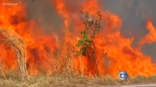 Amazon rainforest is burning at a record rate, this task force in Boulder is fighting to save it